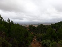 2018-11-12 14.44.14 (Grand)